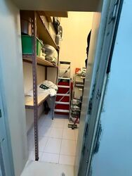 Parc Elegance (D15), Apartment #581567391